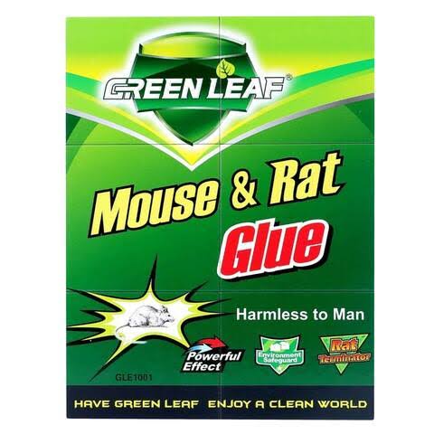 Green Leaf Glue Trap (Large)
