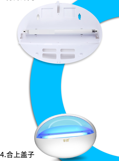 LIGHT TRAP EGG 