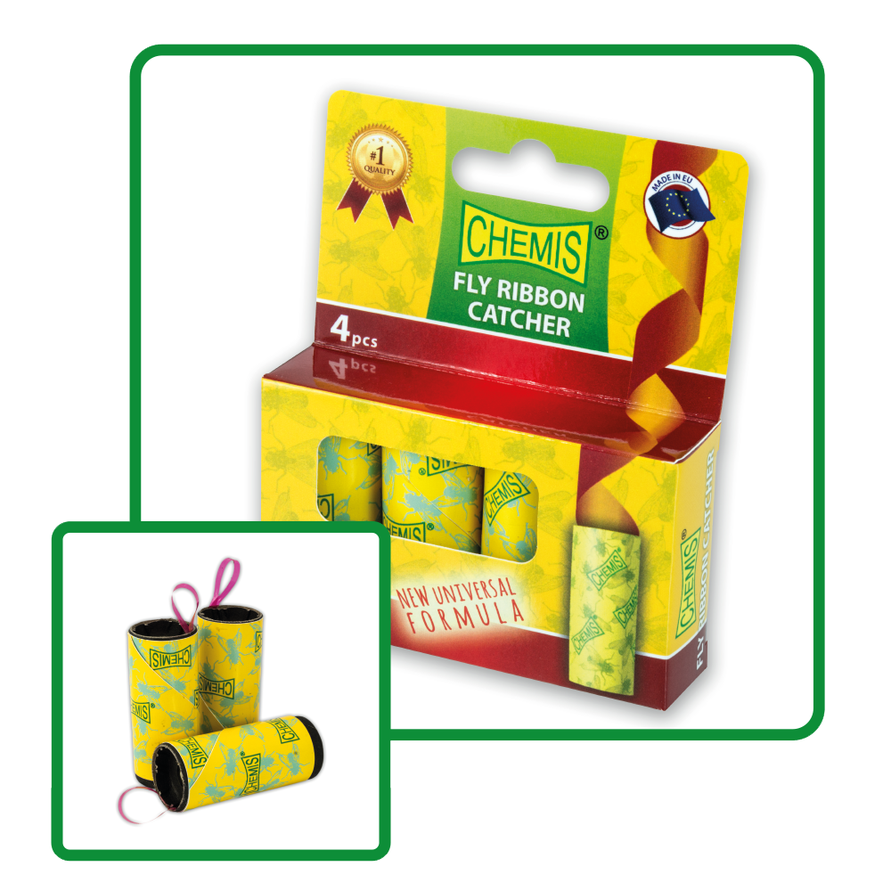 Chemis Fly Ribbon 